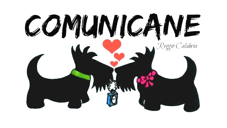 Logo Comunicane