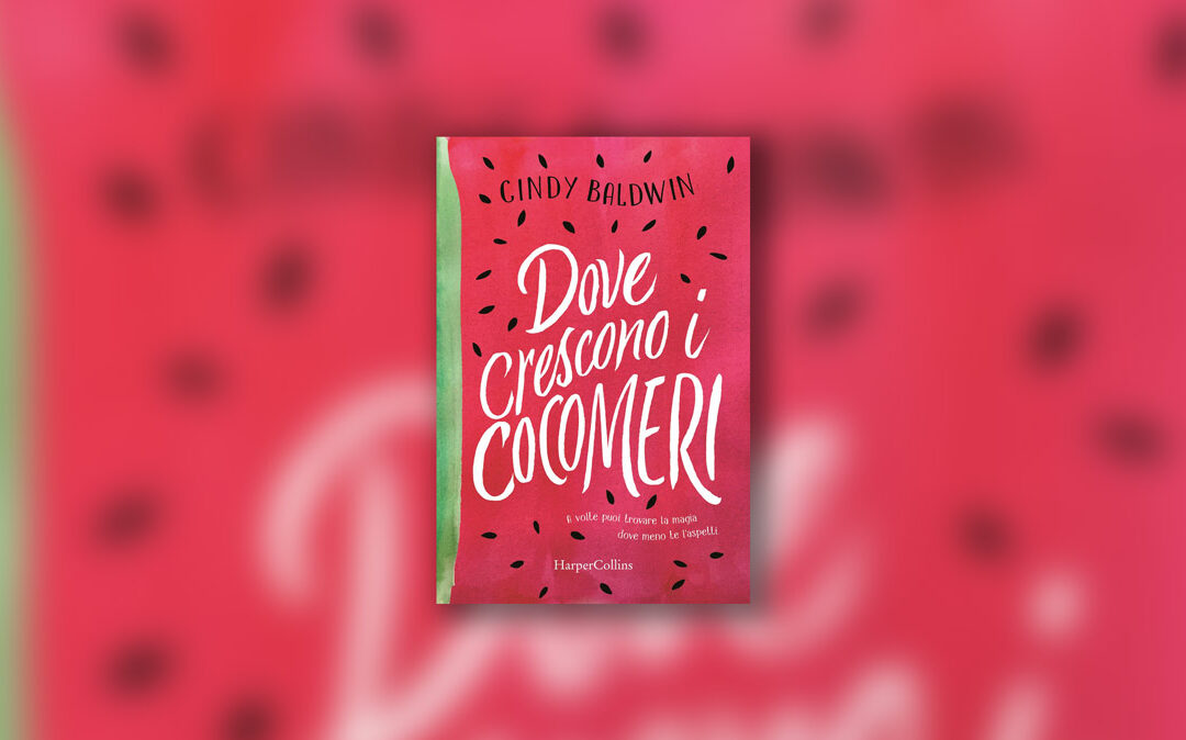 Dove crescono i cocomeri di Cindy Baldwin – Recensione