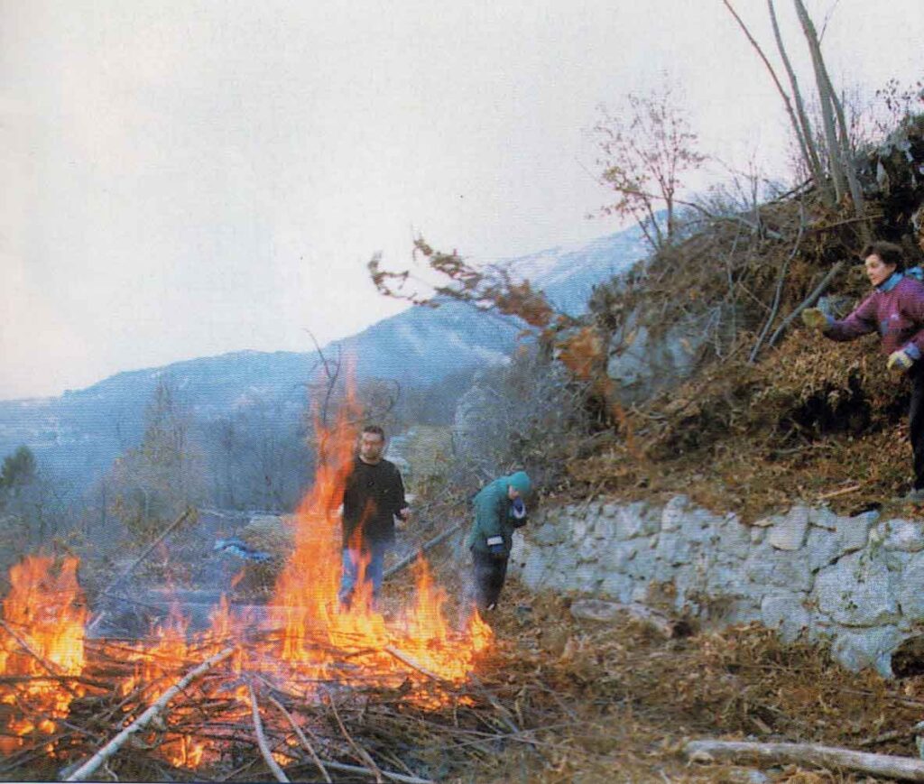 Associazione Il Muschio - Ombre e Luci n. 79, 2002