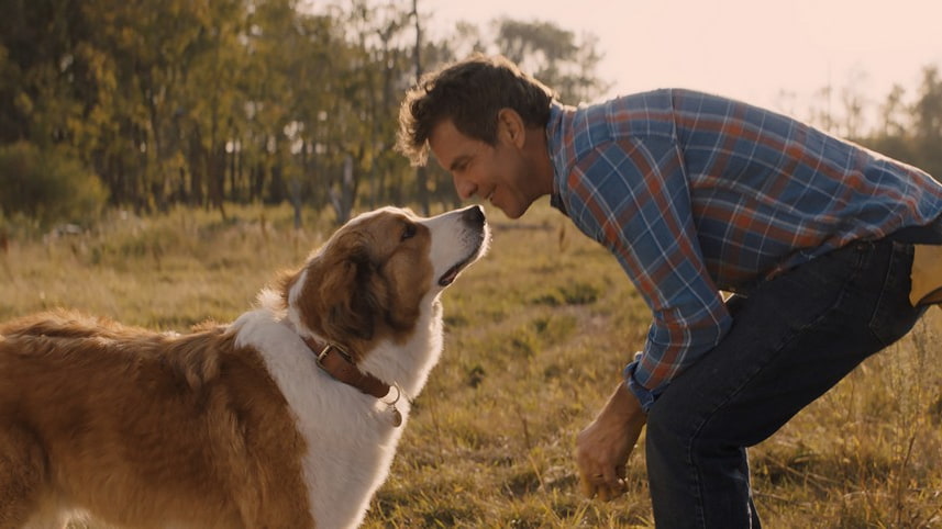 Un uomo e un cane si scambiano uno sguardo affettuoso in campagna