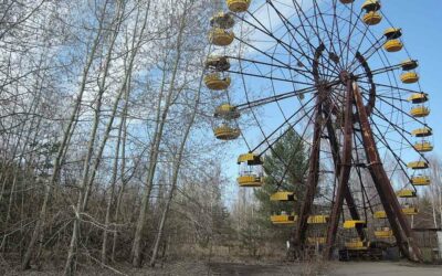 Storie di rinascita e solidarietà in Le cicogne di Chernobyl